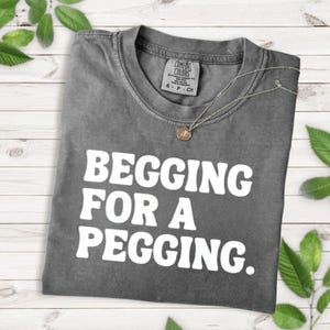 Begging For A Pegging Shirt, Funny Shirt, Funny Gift, Shirt For Friends, Rude Edgy Tee, Gen Z Shirt, Adult Humour Shirt, Joke Novelty Gift