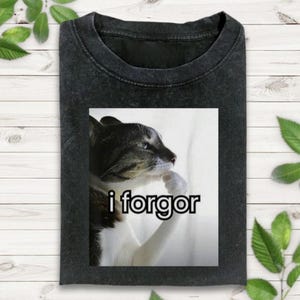 I Forgor Cringe Cat Meme Shirt, Funny Silly Cat Meme Shirt, Gen Z Joke Shirt, Stupid Brainrot Gift, Cat Lover Gift, Funny Cool Cat Shirt