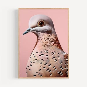 Digital Art Print Spotted Dove Pigeon bright Pink bold colorful Printable Art Wall Decor Wall Art Bird Illustration