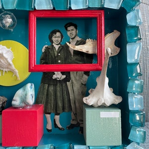 Natural History Museum Cabinet Wall hanging ( Original One-of-a-kind Assemblage/ Diorama/ Shadow Box art)