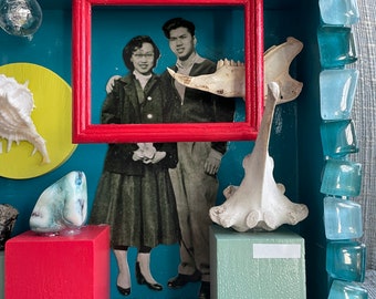 Natural History Museum Cabinet Wall hanging ( Original One-of-a-kind Assemblage/ Diorama/ Shadow Box art)