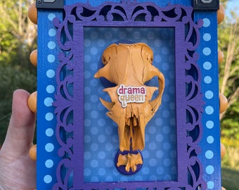 Drama Queen Cabinet Wall-hanging (Original Assemblage Shadow Box art)