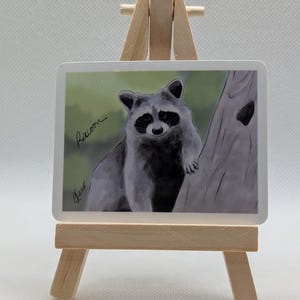Raccoon Sticker #16