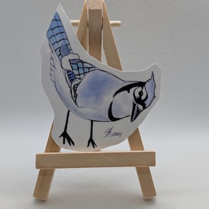 Bluejay #10