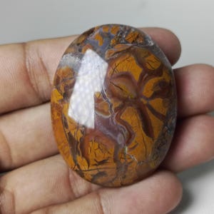 May include: Oval-shaped gemstone with a unique pattern of brown, orange, and gray hues. The polished surface reveals intricate veining and a natural, earthy aesthetic. This stone is a beautiful example of natural stone art.
