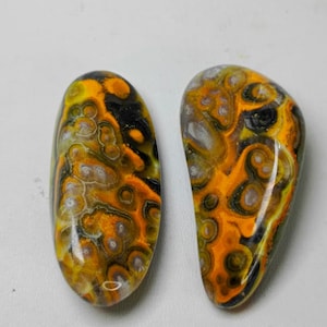 May include: Two polished gemstone cabochons with a vibrant pattern of yellow, black, and gray swirls. The stones have a glossy finish and are oval and teardrop shaped. The cabochons are set against a neutral background.
