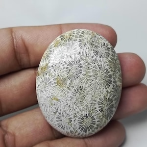 May include: A white and gray oval shaped fossilized coral cabochon with a detailed pattern of small white and gray flower shapes.