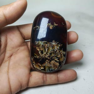 May include: A polished, oval-shaped gemstone with a deep burgundy hue. The stone features intricate, fossil-like inclusions in shades of brown and tan, creating a unique, natural pattern. The surface is smooth and reflective.