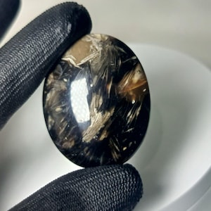 May include: An oval-shaped gemstone with a polished, glossy surface. The stone features a dark base color with intricate patterns of light brown and white inclusions, creating a unique, natural design. The gemstone is held by a gloved hand.