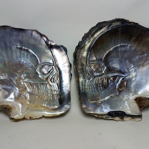 May include: Two iridescent, carved seashell halves, each depicting a skull. The shells have a pearlescent sheen with shades of silver, gray, and hints of blue. The skull details are intricately carved.