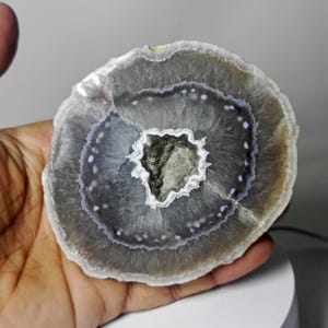 Timor Agate - Etsy