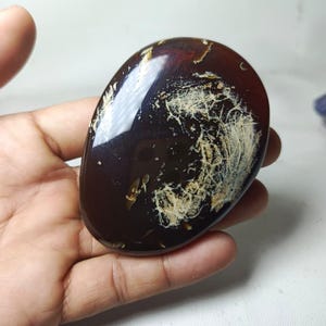 May include: A polished, oval-shaped gemstone with a deep brown hue. The surface features a unique pattern of light beige inclusions, creating a striking contrast. The stone is held in a hand, showcasing its size and shape.