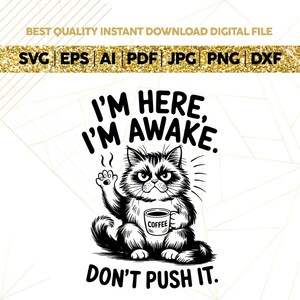 I\&\#39;m Here I\&\#39;m Awake Don\&\#39;t Push It, Retro Trendy Sarcastic Office humor Funny Sleepy Grumpy Cat Meme SVG PNG,Sleepy Cat Meme,cricut