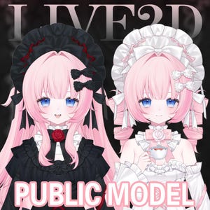live2D Model Gothic Lolita [Premade Vtuber Model/FULLY RIGGED/Ready to use/Vtube Studio]