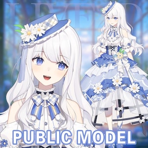 2D Model Weißhaarige Junge Mistress [vorgefertigte Vtuber Model/FULLY RIGGED/Ready to use/Vtube Studio]
