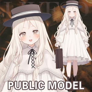 live2D Model MIA on trip [Premade Vtuber Model/FULLY RIGGED/Ready to use/Vtube Studio]