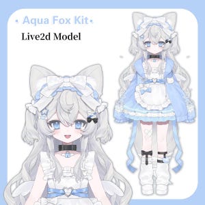 live2D Model  Aqua Fox Kit[Premade Vtuber Model/FULLY RIGGED/Ready to use/Vtube Studio]
