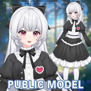 live2D Model Gothic Lolita with White Hair [Premade Vtuber Model/FULLY RIGGED/Ready to use/Vtube Studio]