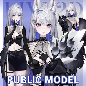 live2D Model Hiso [Premade Vtuber Model/FULLY RIGGED/Ready to use/Vtube Studio]