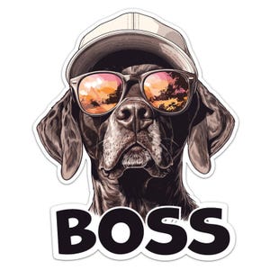 Puede incluir: Un perro marrón y negro con una gorra de béisbol blanca y gafas de sol. El perro está mirando a la cámara. El texto "BOSS" está escrito debajo del perro.