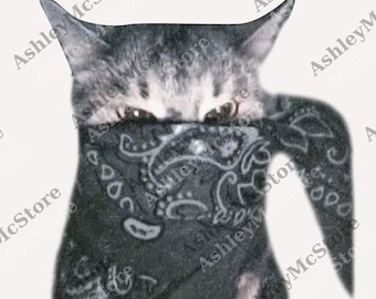 May include: A digitally rendered image of a cat wearing a black bandana with a paisley design. The cat's eyes are visible above the bandana. The cat's fur is gray and white.