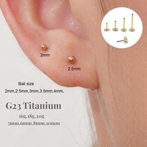 May include: Image of an ear with two small, gold-coloured ball earrings, one 2mm and the other 2.5mm in diameter. The image also shows a selection of gold-coloured stud earrings and the text "G23 Titanium".