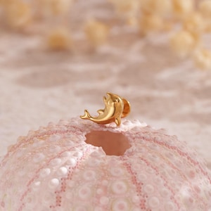 Puede incluir: Un pequeño broche de delfín de color dorado. El broche está de perfil, con su cola y aleta dorsal visibles. El delfín está sobre un fondo rosa texturizado, posiblemente una concha de erizo de mar.