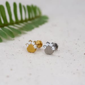20G/18G/16G Cat's paw Push Pin Labret • Threadless Flat Back Earring • Tragus Stud • Flat Back Stud • Helix Stud • Cartilage• Nose Stud