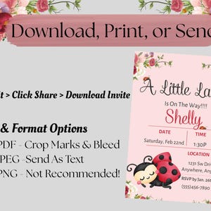 May include: Pink baby shower invitation with floral accents. The invitation reads "A Little Lady Is On The Way!!!!" with the name "Shelly", date, time, location, and RSVP information. The invitation also includes a cute ladybug graphic.