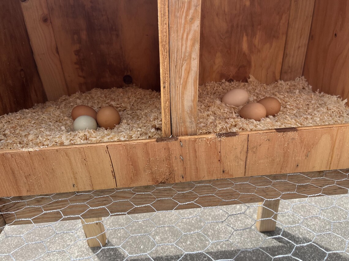 DIY Chicken Coop Plans – Elevated Backyard Hen House With Ramp ...