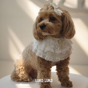 May include: A light brown dog wearing a white multi-layered lace collar with pearl accents and a matching white lace bow on its head. The collar features intricate floral lace trim and a central decorative embellishment. The text LUKO LUKO is visible.