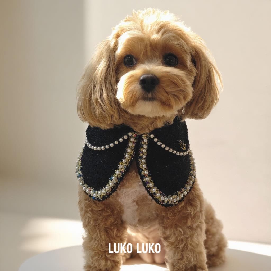 Dior dog collar - Etsy 日本