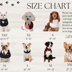 May include: A pet size chart featuring various dogs and a cat wearing formal collars and bandanas. The text reads SIZE CHART, LUKO LUKO, and provides neck measurements in inches from XXS up to 9 inches to XXL at 21 to 25 inches for pet accessories.