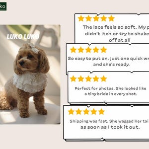 May include: A light brown dog wearing a white ruffled lace collar and a matching lace hair bow. The image includes the text LUKO LUKO and four five-star customer reviews with text about the lace softness, ease of use, and photo suitability.