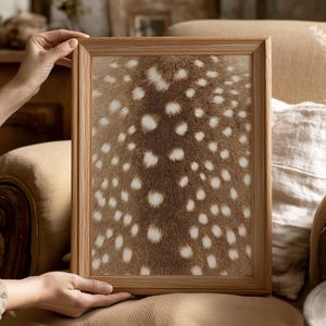 May include: A framed print featuring a close-up of deer fur pattern. The print has a natural wood frame. The deer fur pattern is brown with white spots. The print is held by a person.