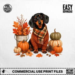 Puede incluir: Una ilustración digital de un perro salchicha negro y fuego con un suéter de punto naranja y una bufanda a cuadros, rodeado de calabazas naranjas, un cubo de metal con hojas de otoño, una piña y follaje otoñal esparcido.