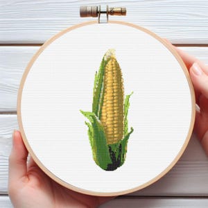 May include: A cross-stitch embroidery of an ear of corn in a wooden hoop. The corn is yellow with green husks and leaves. The embroidery is on white fabric. The wooden hoop is held by hands.