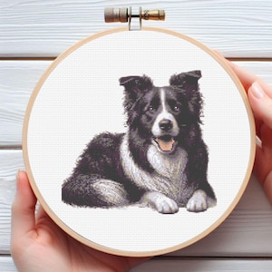 Op de afbeelding: Kruissteekborduurwerk van een Border Collie-hond in een houten hoepel. De hond is afgebeeld in zwart en wit, liggend met zijn tong uit. De hoepel wordt door een persoon vastgehouden.