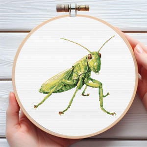 May include: A cross-stitch embroidery of a green grasshopper, displayed in a wooden hoop. The insect is detailed with various shades of green, brown, and red, set against a white background. The hoop is held by a person's hands.