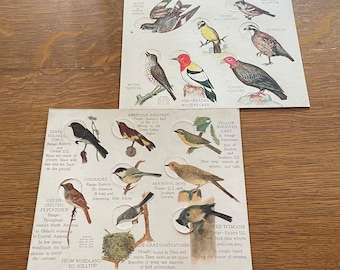 Vintage Patented Game Boards From Woodland to Hilltop and Other Birds