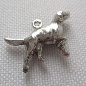 May include: A silver-colored dog charm in a standing pose, with a small loop at the top for attaching to a necklace or bracelet. The charm is detailed with the dog's features, including its tail and legs.