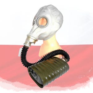 Fm12 gas mask - Etsy 日本