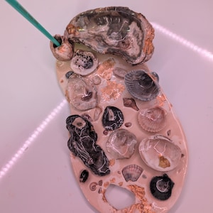 Glamor Seashell Paint Palette
