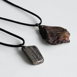 Colorado Petrified Wood Pendant Necklace