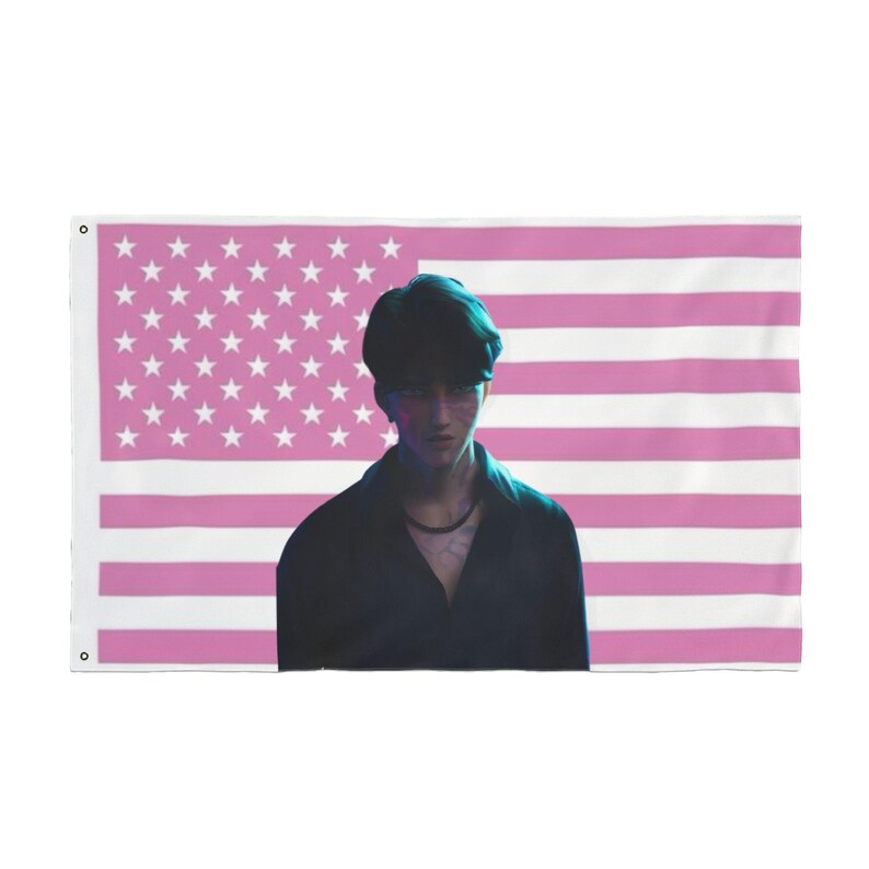 Jinu Flag, K Pop Demon Hunters, American Flag, Pink, Hot - Etsy