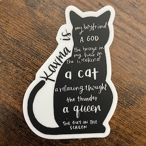 Karma is....Taylor Swift Vinyl Sticker