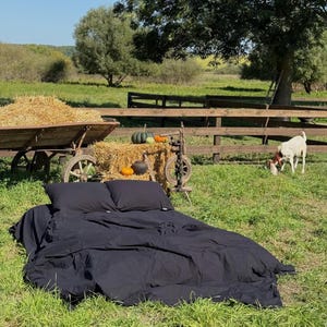 Könnte beinhalten: Ein schwarzes Bettset, bestehend aus einer Bettdecke und zwei Kissen, liegt auf dem Gras. Die Szene im Freien zeigt einen rustikalen Wagen mit Heu, Kürbissen und eine ziege beim Grasen. Ein Holzzaun und Bäume vervollständigen die ländliche Umgebung.