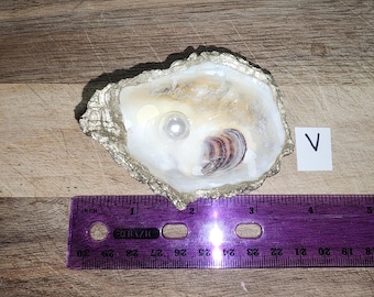 Gold, Glossy Oyster Shell Pearl Coastal Decor, Ring Jewelry Dish, Bridal Engagement Gift