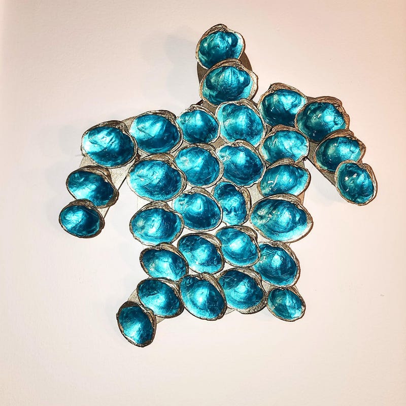 Turtle Art Made of Shells - Etsy