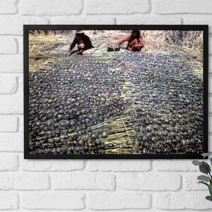 Framed Poster Bolivia, Women drying fish on mats 1970s Wall Art, Vintage Wall Art, Lake Titicaca, Home Office Decor, Gift for Her/Him